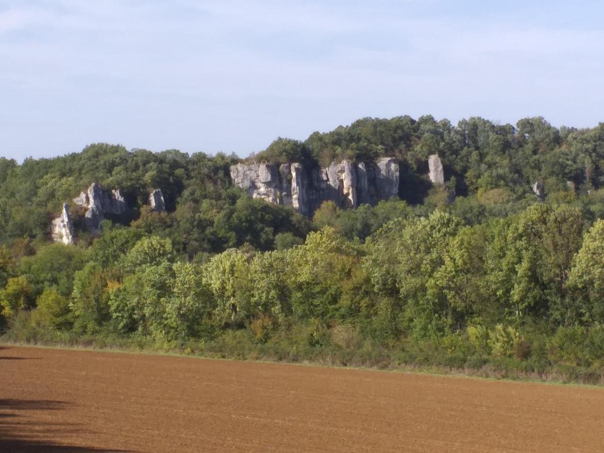Maison Pour Nombreuses Personnes Pousseaux Exteriör bild